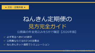 公務員のねんきん定期便の見方
